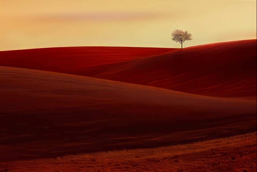 Las 10 mejores fotografías de paisajes de los premios ReFocus Color Awards 2024