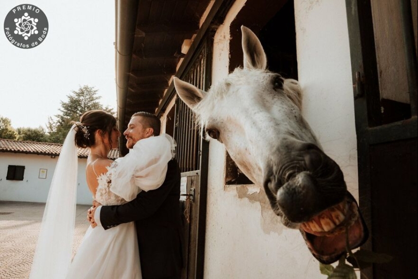 Las 12 fotos de bodas más increíbles del 2024 seleccionadas por los Premios FdB
