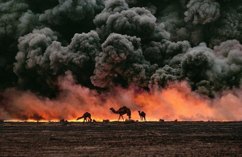 Las fotografías más bellas de Steve McCurry de todo el mundo. Las fotografías más bellas de Steve McCurry de todo el mundo.