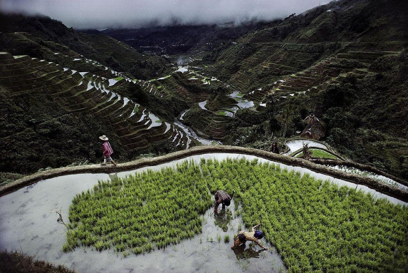Las fotografías más bellas de Steve McCurry de todo el mundo. Las fotografías más bellas de Steve McCurry de todo el mundo.