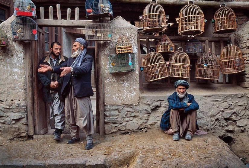 Las fotografías más bellas de Steve McCurry de todo el mundo. Las fotografías más bellas de Steve McCurry de todo el mundo.