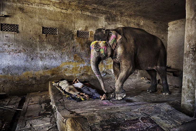 Las fotografías más bellas de Steve McCurry de todo el mundo. Las fotografías más bellas de Steve McCurry de todo el mundo.