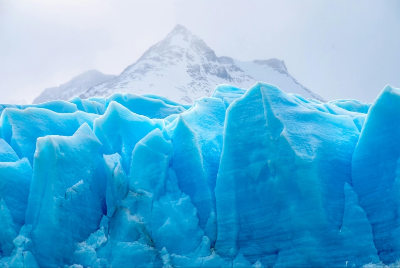 Las mejores fotos de la naturaleza Las mejores fotos de la naturaleza