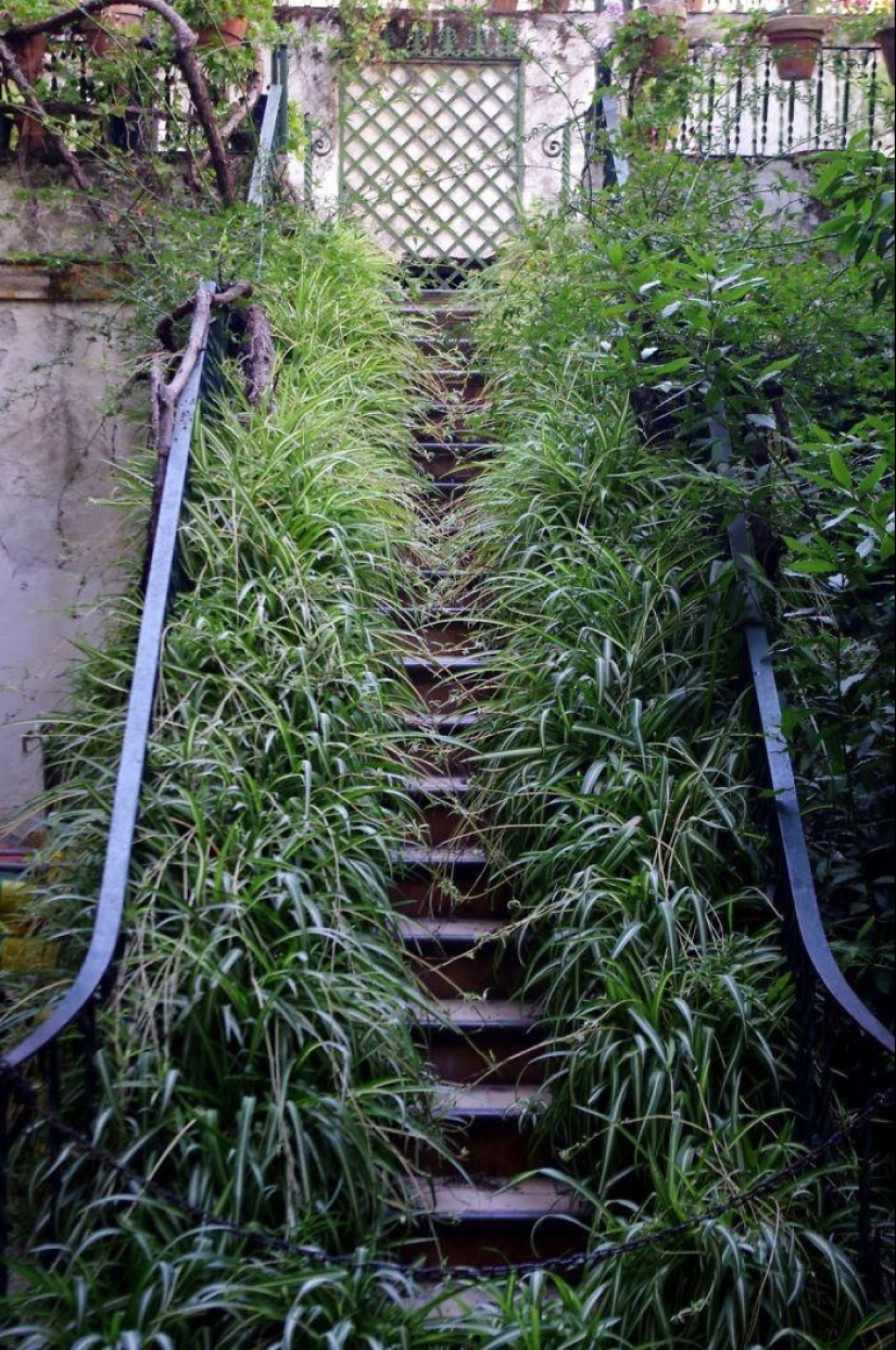 Las más bellas escaleras de todo el mundo Las más bellas escaleras de todo el mundo