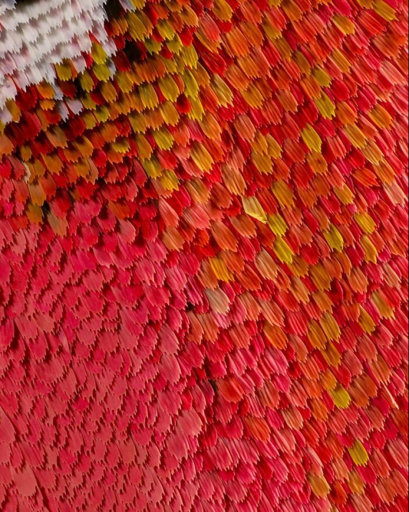 Las nanoestructuras a escala de mariposas son tan poderosas que no se desvanecen con los rayos ultravioleta del sol