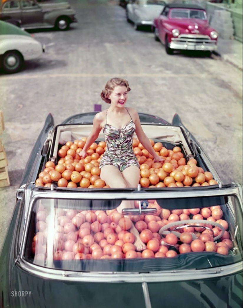 Life in the US in the 50s: rare photos Life in the US in the 50s: rare photos