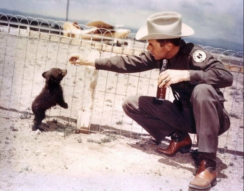 Life in the US in the 50s: rare photos Life in the US in the 50s: rare photos