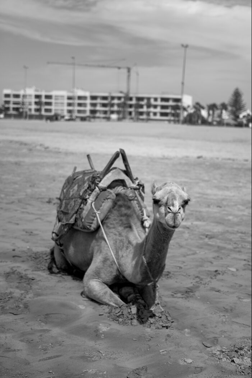 “Looky Looky”: 12 Photos I Took Of Things On The Beach That Fascinated Me