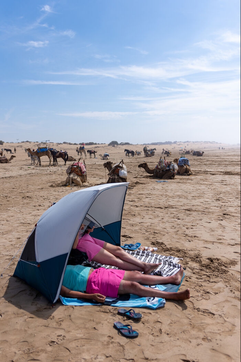 “Looky Looky”: 12 Photos I Took Of Things On The Beach That Fascinated Me
