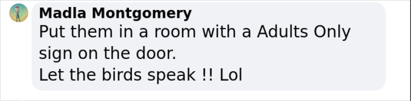 Loros groseros que no pueden dejar de maldecir están en proceso de ser rehabilitados con una nueva bandada