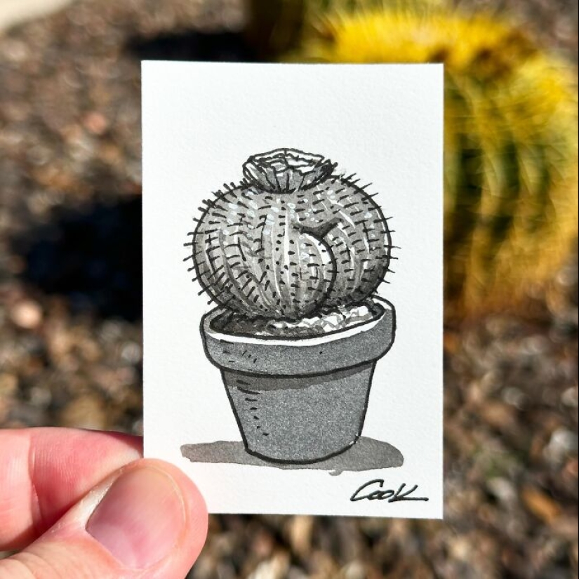 Los atrevidos dibujos de Brian Cook podrían alegrarte el día Los atrevidos dibujos de Brian Cook podrían alegrarte el día