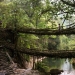 Los más bellos puentes peatonales en el mundo Los más bellos puentes peatonales en el mundo