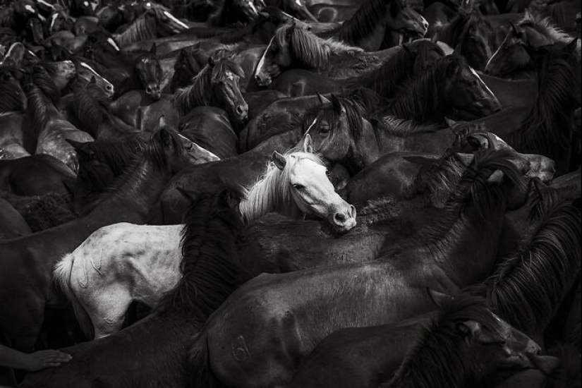 Los premios de fotografía monocromática han anunciado los ganadores de 2023