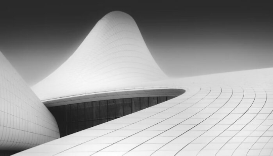 Los premios de la galería de artistas compartieron 11 mejores imágenes de 2024