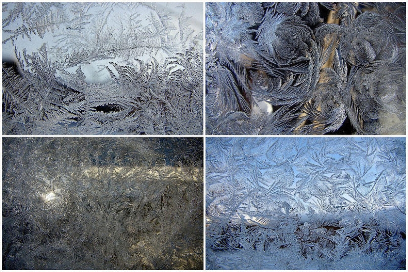 Magia de invierno sobre vidrio Magia de invierno sobre vidrio