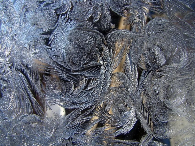 Magia de invierno sobre vidrio Magia de invierno sobre vidrio