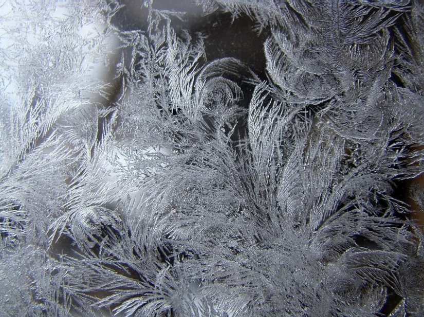 Magia de invierno sobre vidrio Magia de invierno sobre vidrio