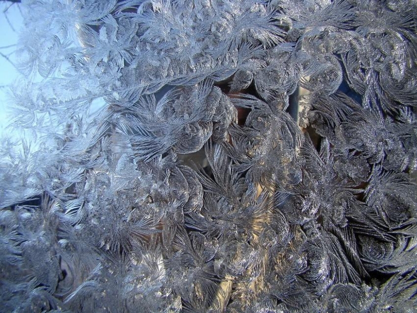 Magia de invierno sobre vidrio Magia de invierno sobre vidrio