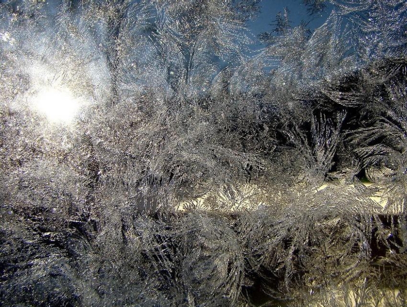 Magia de invierno sobre vidrio Magia de invierno sobre vidrio