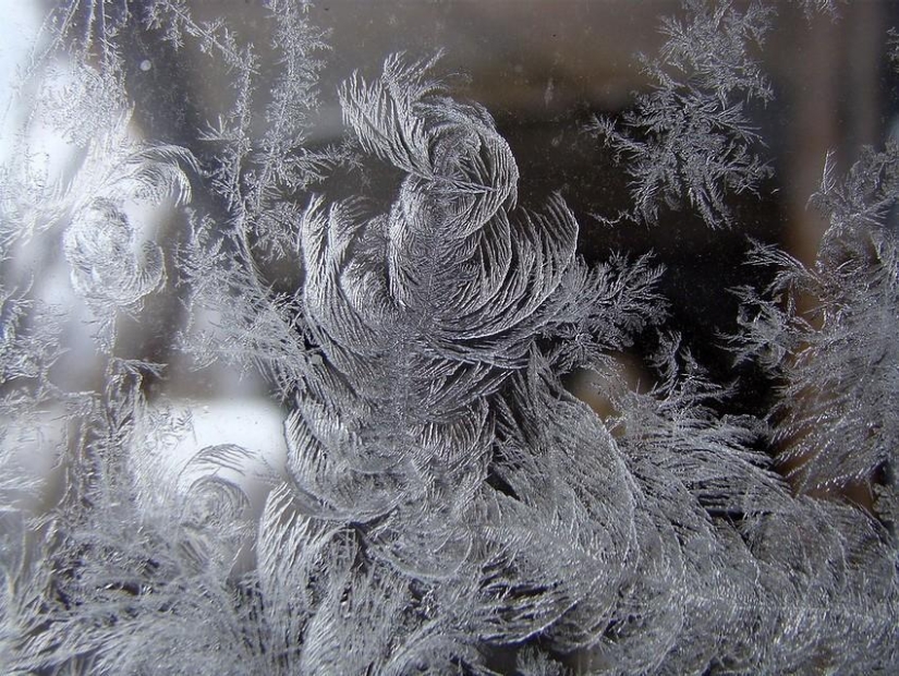 Magia de invierno sobre vidrio Magia de invierno sobre vidrio