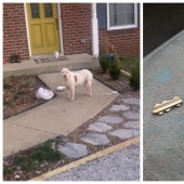 Mala suerte: 22 fotos de personas que no saben lo que es la "suerte"