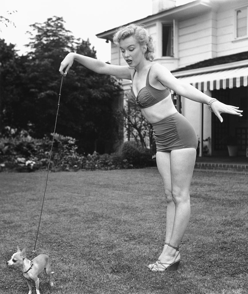 Marilyn Monroe, Frank Sinatra, Clint Eastwood y otras estrellas del siglo XX en la lente de Earl Leaf
