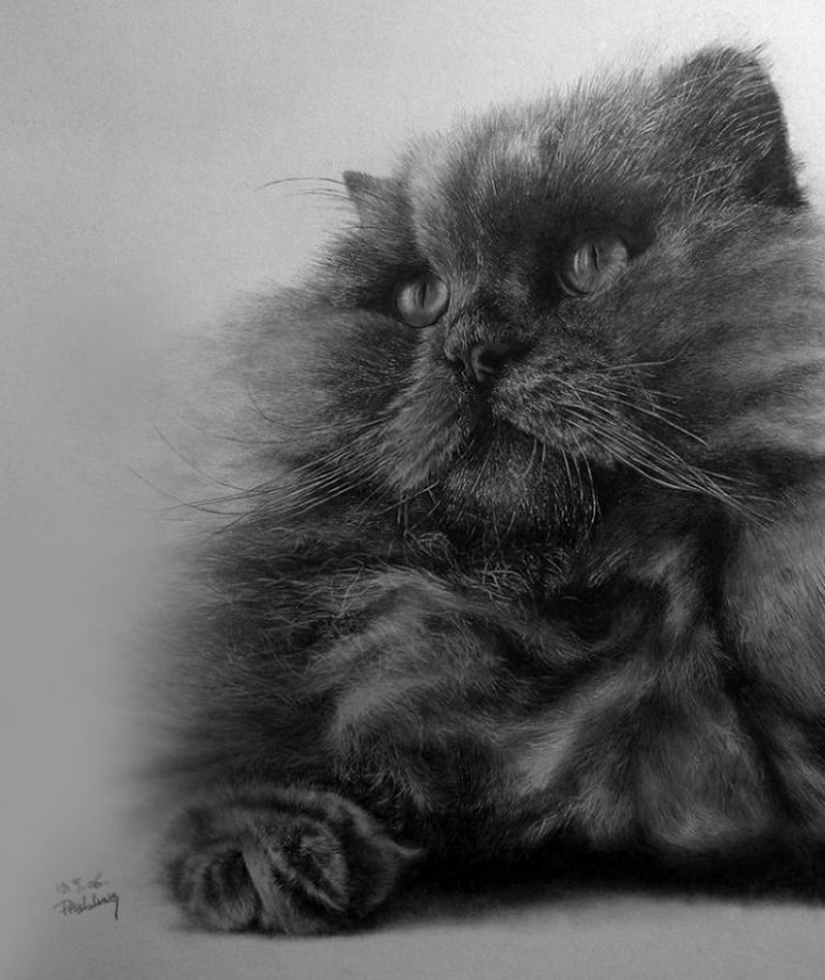 Master of pencil sketch - Paul Lang Master of pencil sketch - Paul Lang