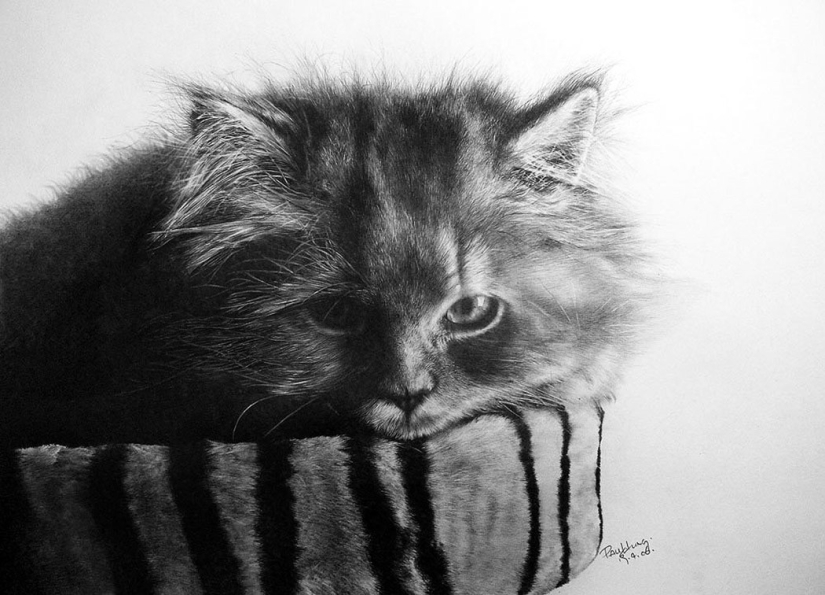 Master of pencil sketch - Paul Lang Master of pencil sketch - Paul Lang