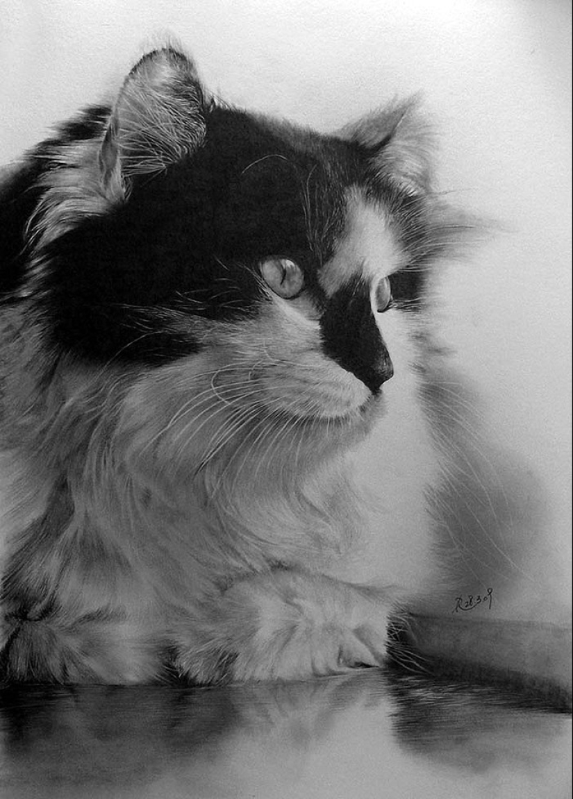 Master of pencil sketch - Paul Lang Master of pencil sketch - Paul Lang
