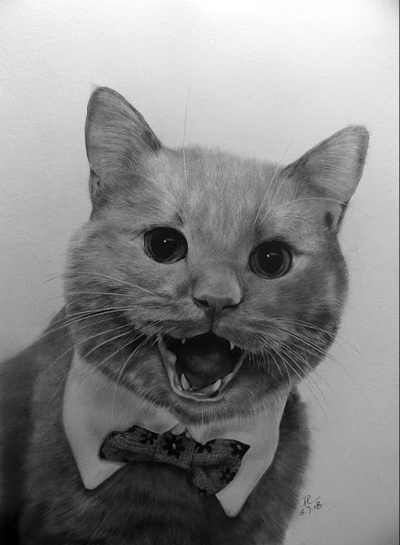 Master of pencil sketch - Paul Lang Master of pencil sketch - Paul Lang