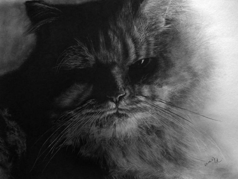Master of pencil sketch - Paul Lang Master of pencil sketch - Paul Lang