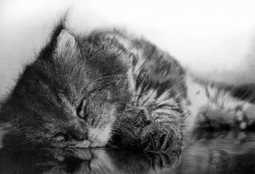 Master of pencil sketch - Paul Lang Master of pencil sketch - Paul Lang