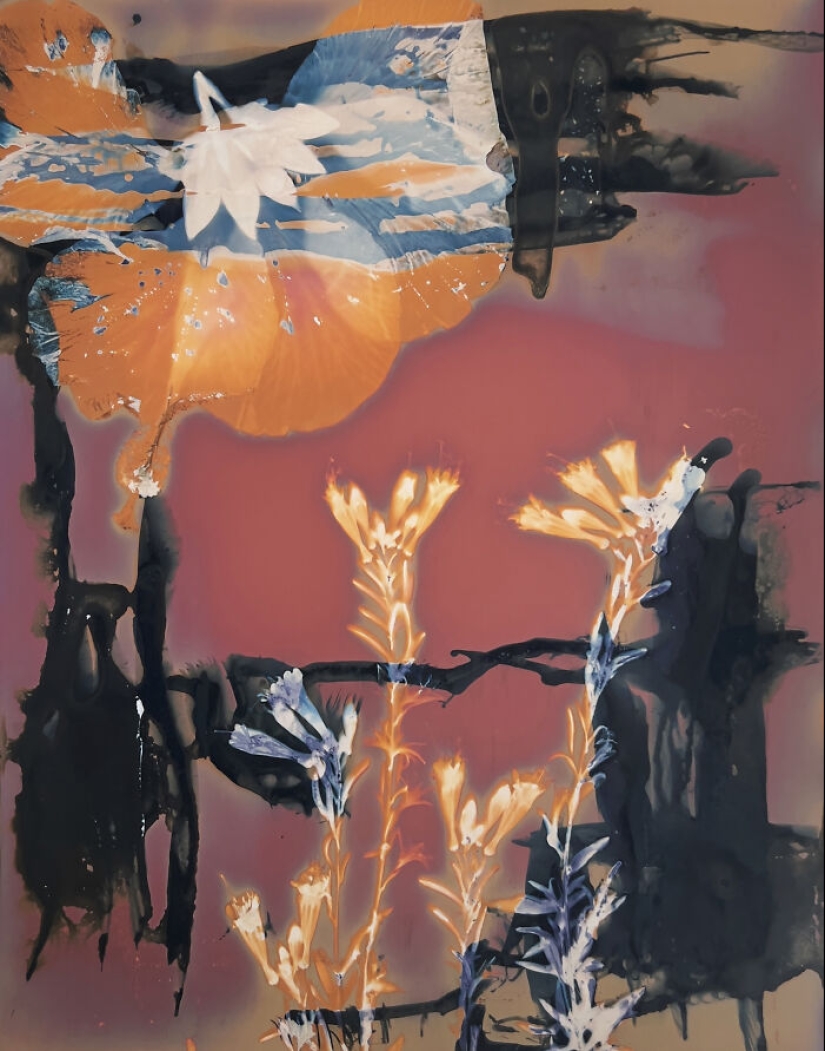 “Mi corazón al descubierto”: un viaje emocional a través de la fotografía experimental con Carolyn Moore “Mi corazón al descubierto”: un viaje emocional a través de la fotografía experimental con Carolyn Moore