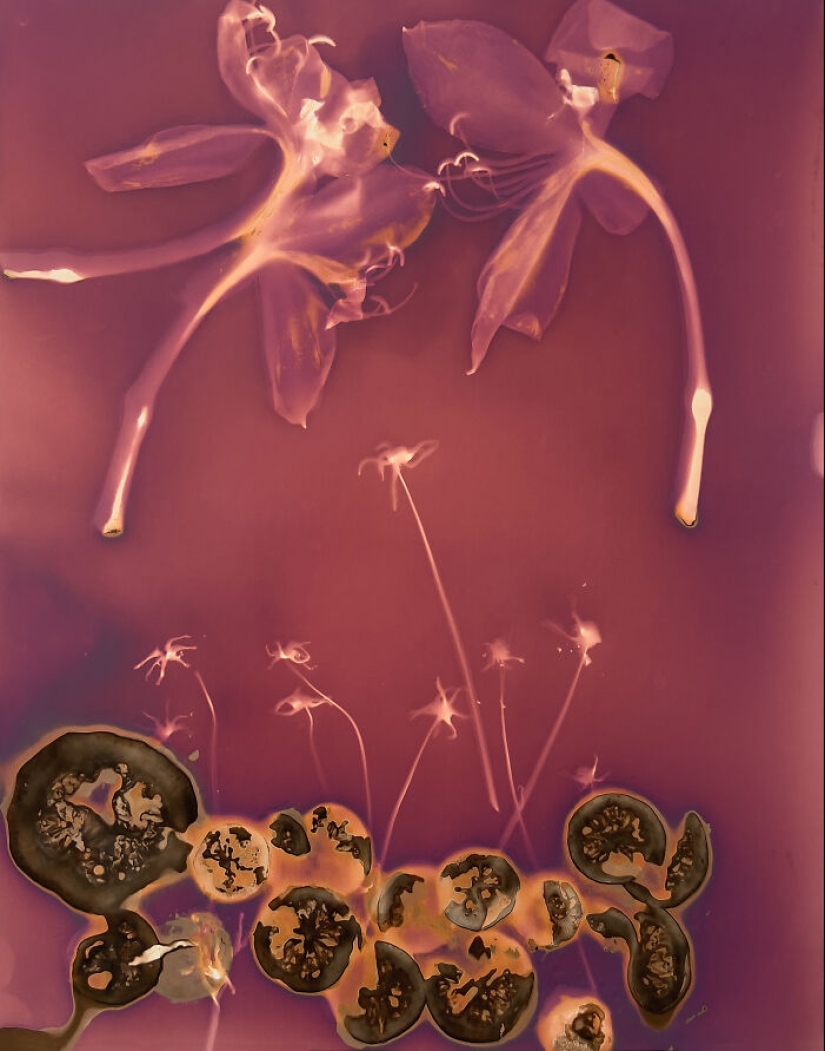 “Mi corazón al descubierto”: un viaje emocional a través de la fotografía experimental con Carolyn Moore “Mi corazón al descubierto”: un viaje emocional a través de la fotografía experimental con Carolyn Moore