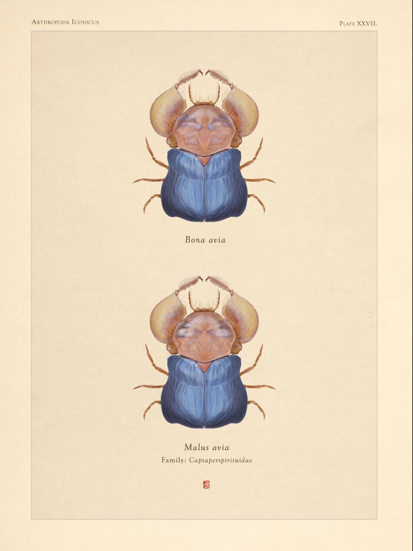 Mis 11 insectos imaginarios dibujados a mano inspirados en el mundo de “El viaje de Chihiro”