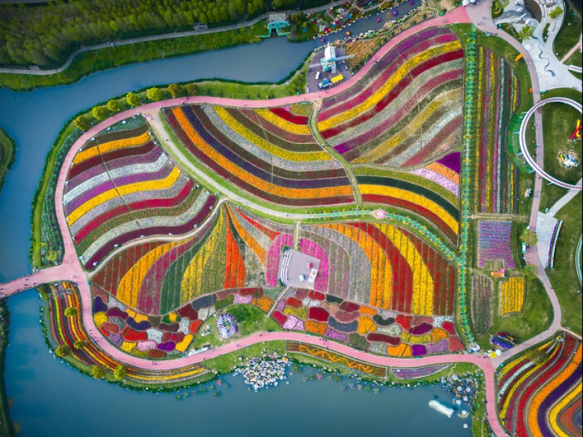 Mis 14 fotografías del Holland Flower Park en China