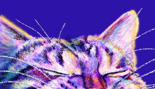 Mis coloridos retratos de gatos que resaltan su irresistible encanto Mis coloridos retratos de gatos que resaltan su irresistible encanto