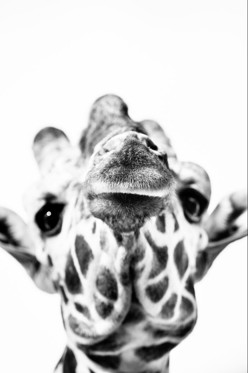 Mis fotografías favoritas en blanco y negro que he tomado en los últimos 18 años Mis fotografías favoritas en blanco y negro que he tomado en los últimos 18 años