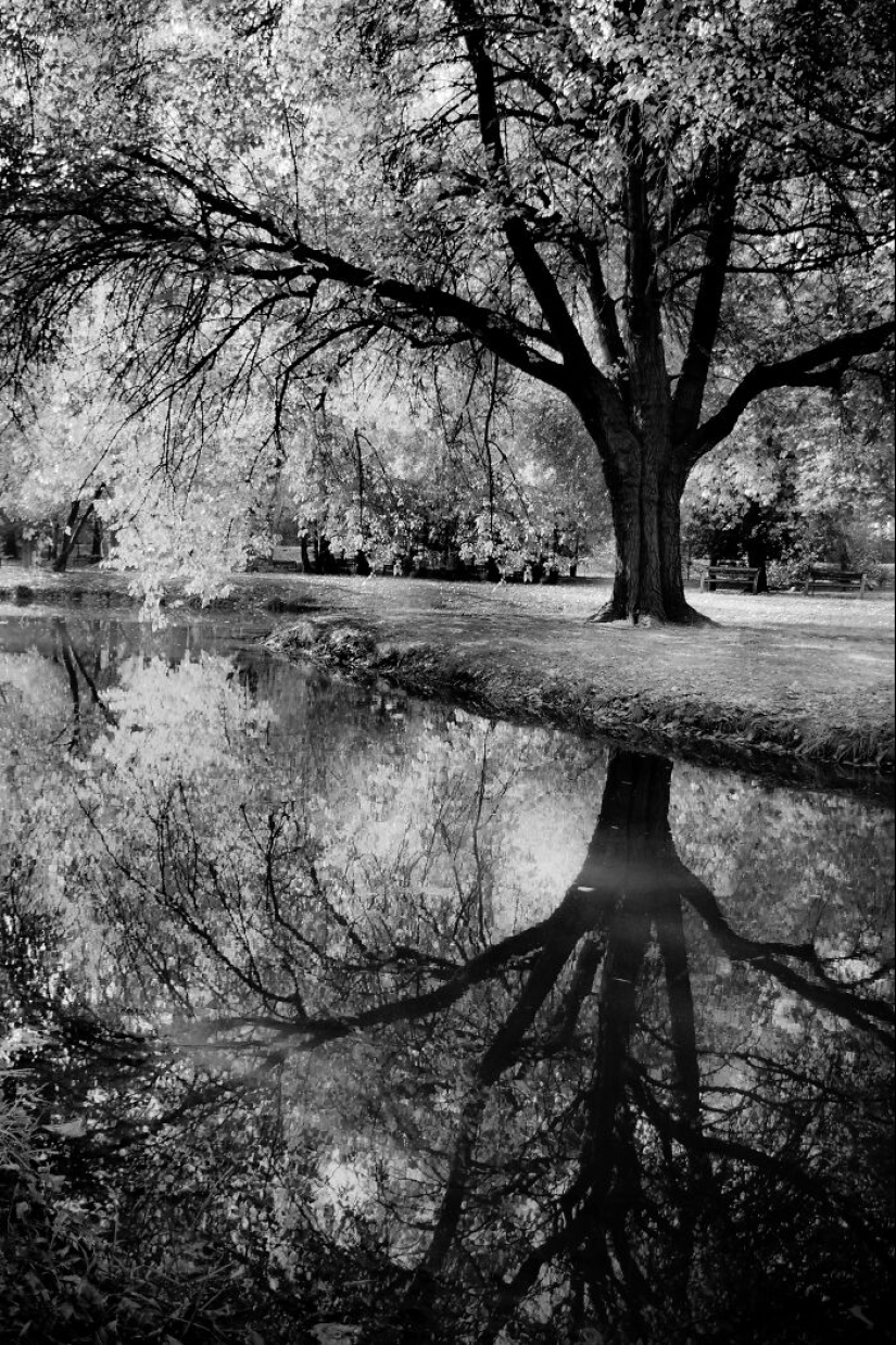 Mis fotografías favoritas en blanco y negro que he tomado en los últimos 18 años Mis fotografías favoritas en blanco y negro que he tomado en los últimos 18 años