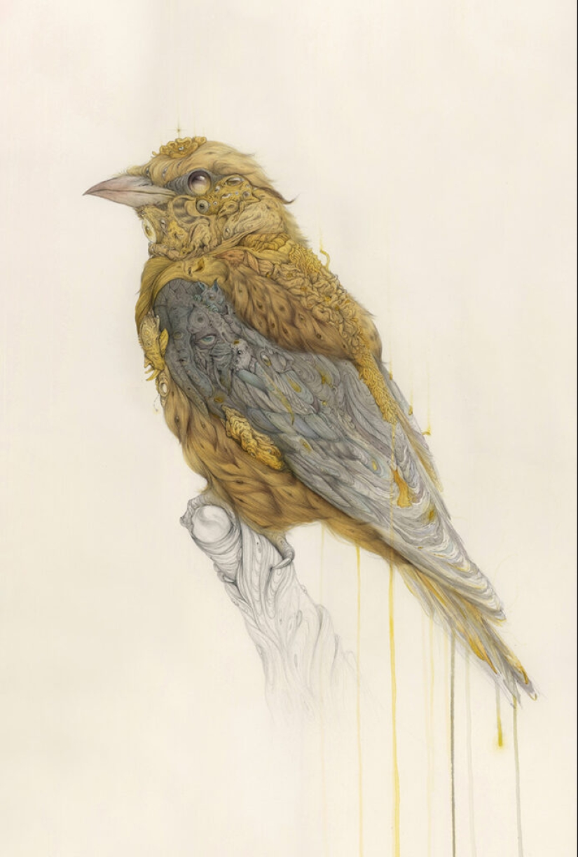 Monstruos lindos del artista Borge Sanchez