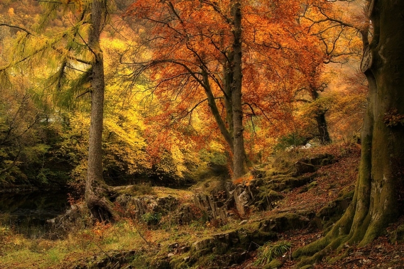 Mundos paralelos de Roger Merrifield