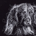 My Daughter Got Me A Black Sketchbook Years Ago, Here Are 23 New White Pen Drawings That I Made My Daughter Got Me A Black Sketchbook Years Ago, Here Are 23 New White Pen Drawings That I Made