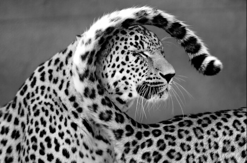 My Favorite Black-And-White Photos I’ve Taken In The Last 18 Years My Favorite Black-And-White Photos I’ve Taken In The Last 18 Years