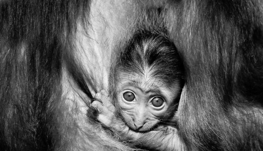 My Favorite Black-And-White Photos I’ve Taken In The Last 18 Years My Favorite Black-And-White Photos I’ve Taken In The Last 18 Years