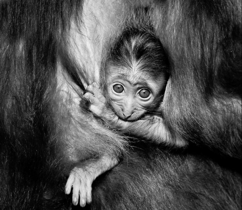 My Favorite Black-And-White Photos I’ve Taken In The Last 18 Years My Favorite Black-And-White Photos I’ve Taken In The Last 18 Years