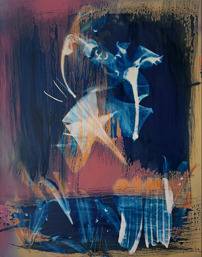 “My Heart Exposed”: An Emotional Journey Through Experimental Photography With Carolyn Moore “My Heart Exposed”: An Emotional Journey Through Experimental Photography With Carolyn Moore