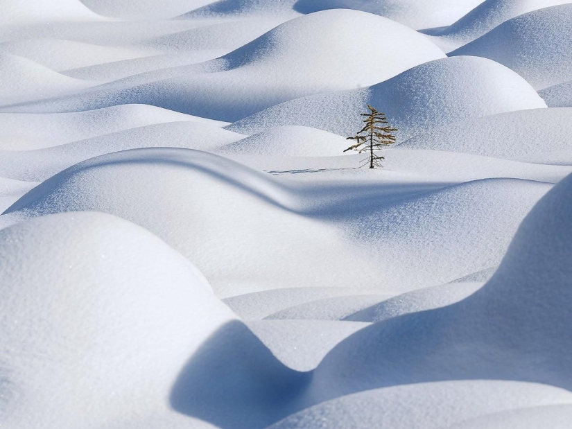 Natural minimalism Natural minimalism