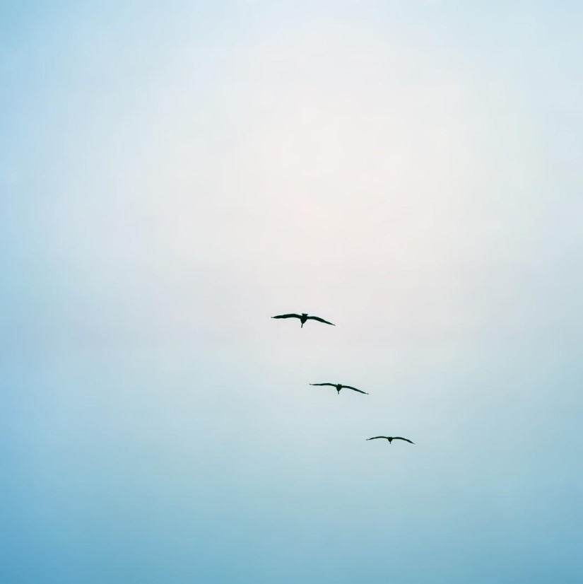 Natural minimalism Natural minimalism