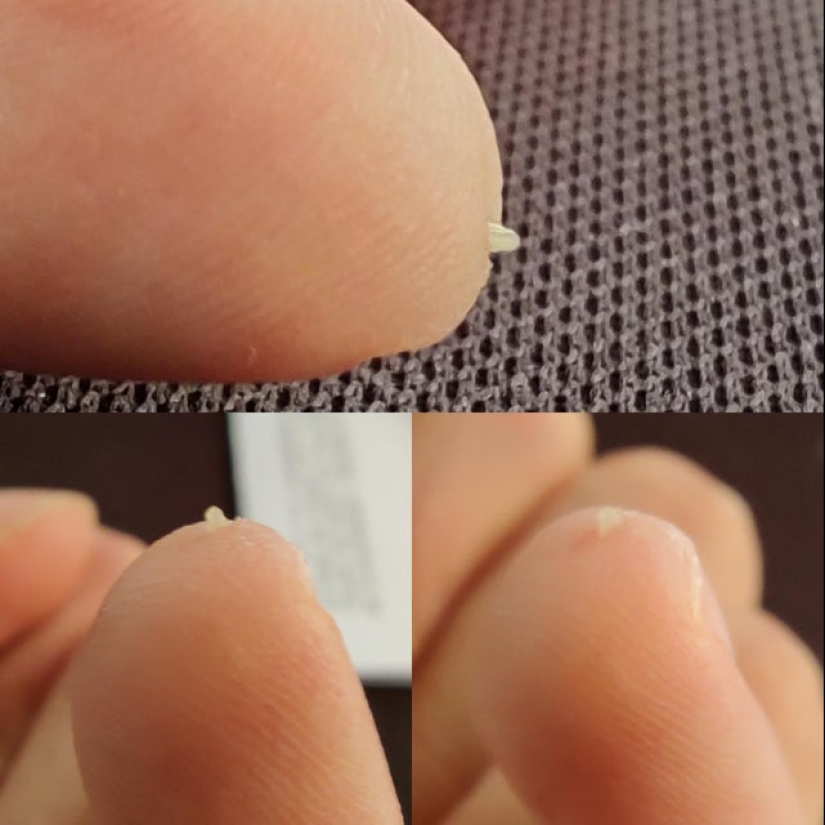 No como todos los demás: 22 fotos de personas únicas, como si llegaran de otro planeta