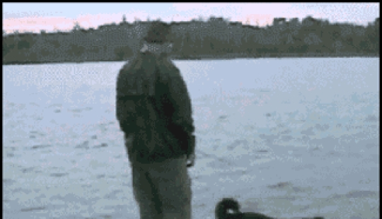 No escupir en el bien! 22 gifs que prueban el instante en que el karma existe